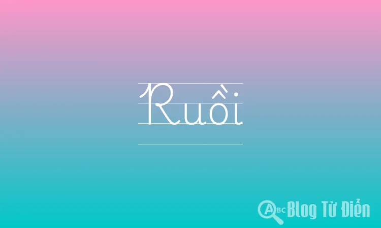 Ruồi
