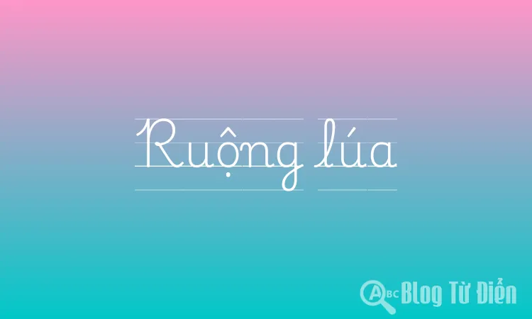 Ruộng lúa