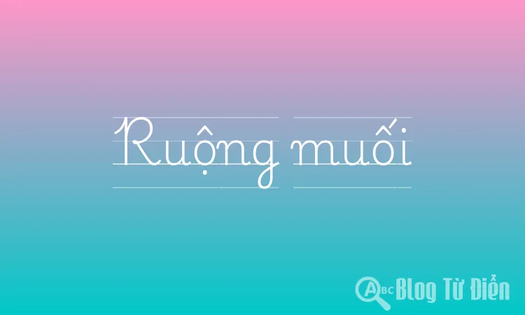 Ruộng muối