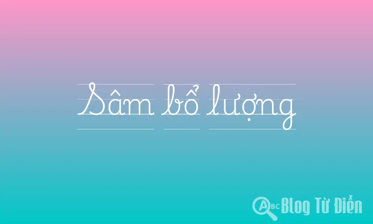 Sâm bổ lượng