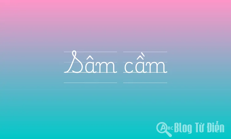 Sâm cầm