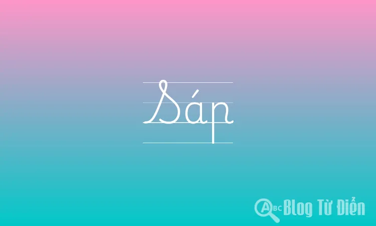 Sáp