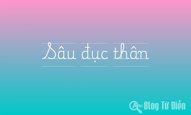 Sâu đục thân