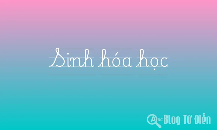 Sinh hóa học
