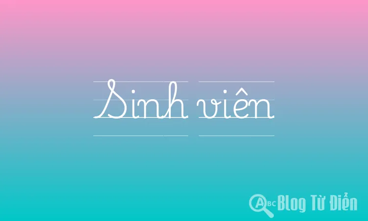 Sinh viên