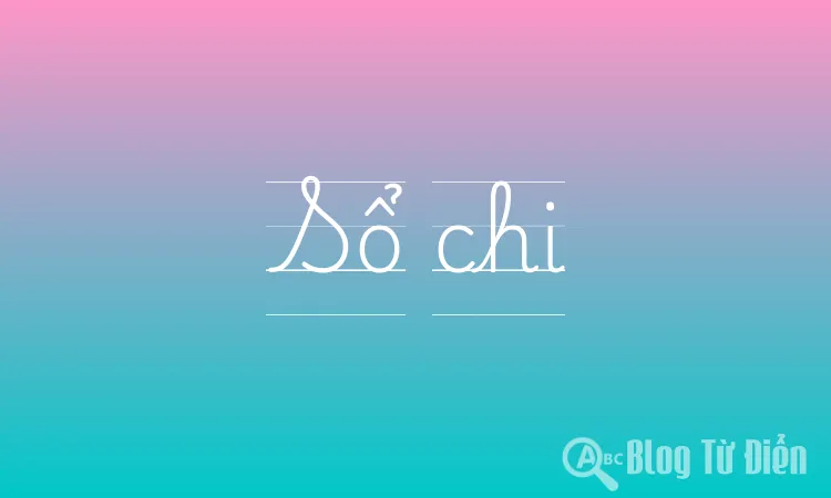 Sổ chi