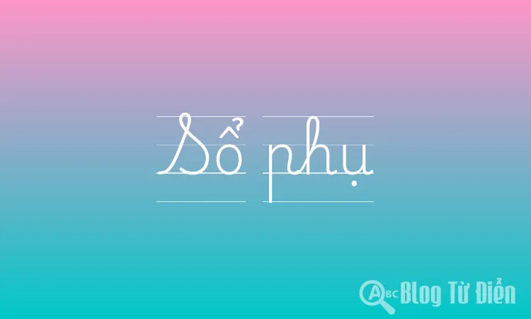 Sổ phụ