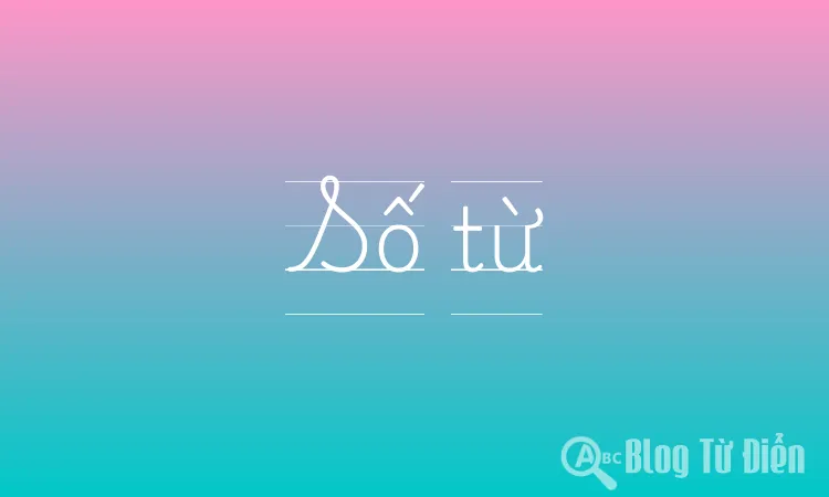 Số từ