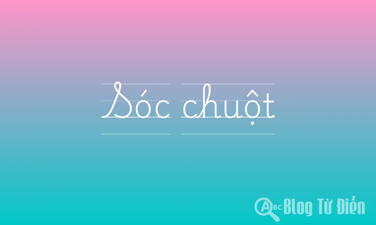 Sóc chuột