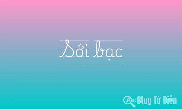 Sới bạc
