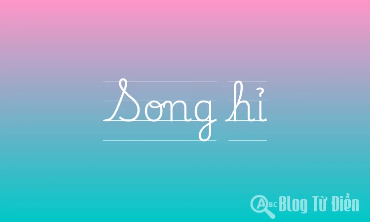 Song hỉ