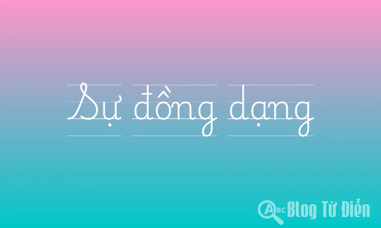 Sự đồng dạng