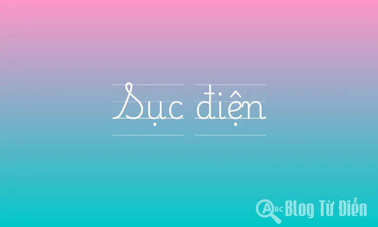 Sục điện