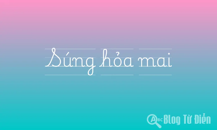 Súng hỏa mai