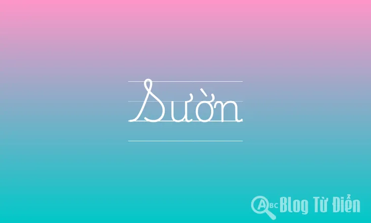 Sườn