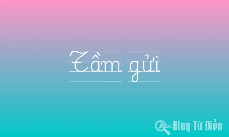 Tầm gửi