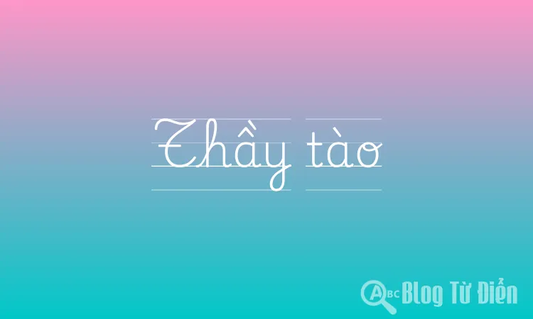 Thầy tào