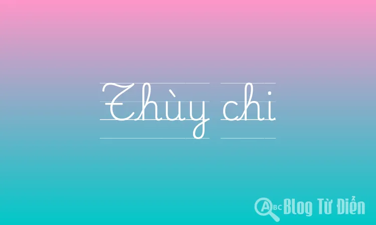 Thùy chi