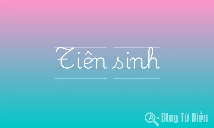 Tiên sinh