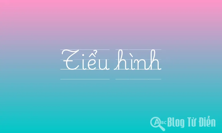 Tiểu hình