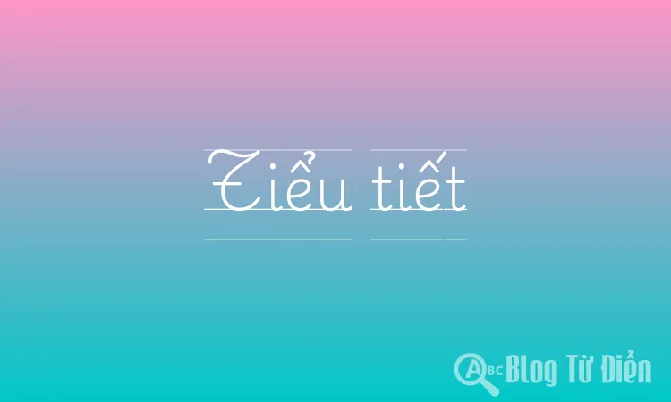 Tiểu tiết