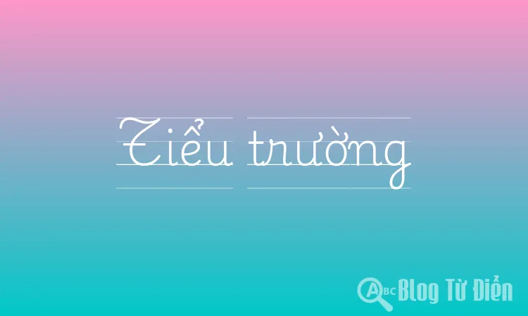 Tiểu trường