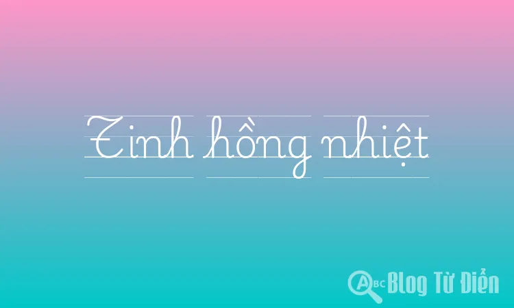 Tinh hồng nhiệt