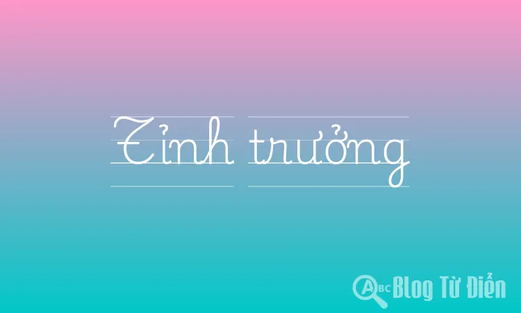 Tỉnh trưởng