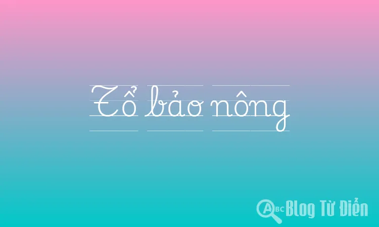 Tổ bảo nông