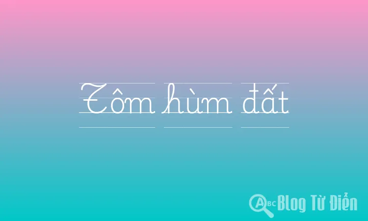 Tôm hùm đất