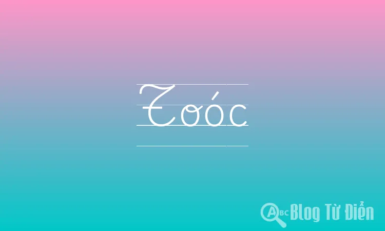 Toóc