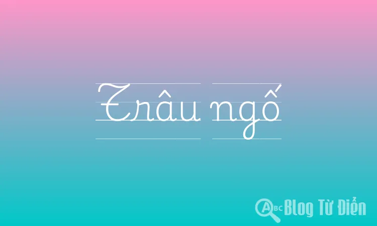 Trâu ngố