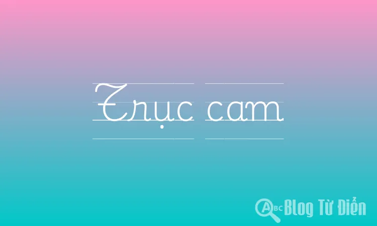 Trục cam
