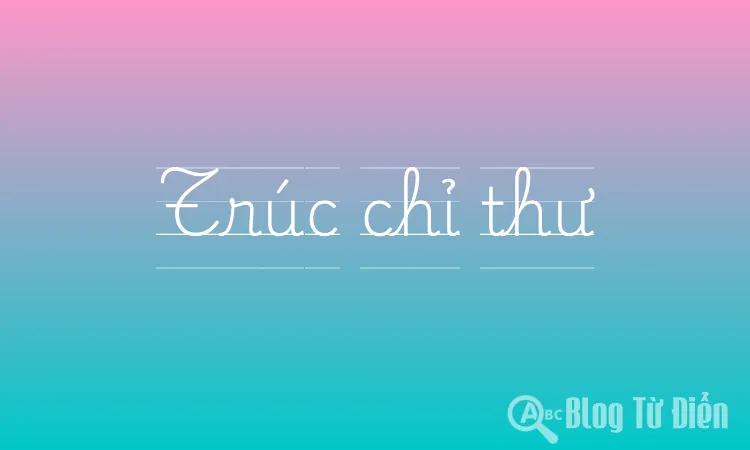 Trúc chỉ thư