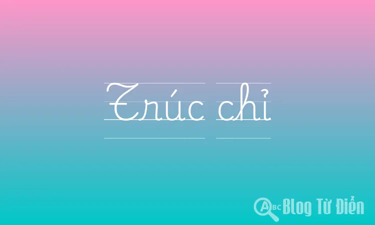 Trúc chỉ