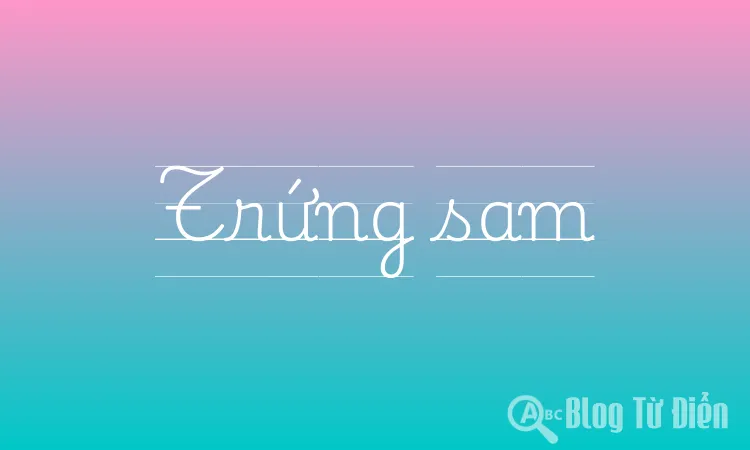 Trứng sam