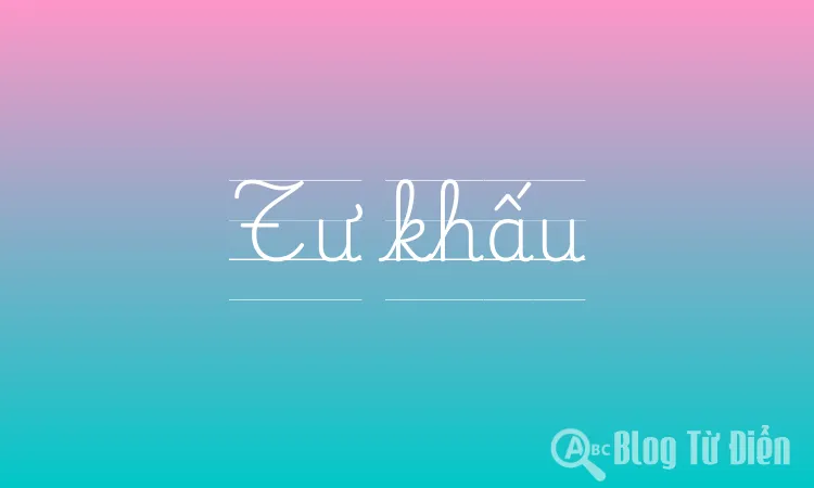 Tư khấu