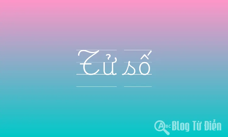 Tử số