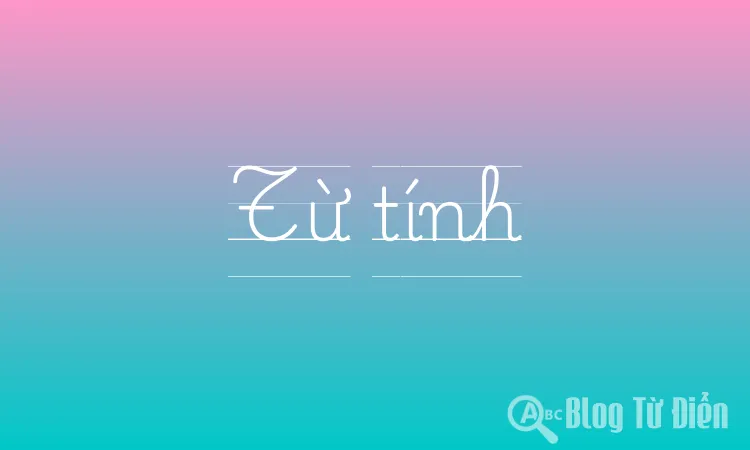 Từ tính