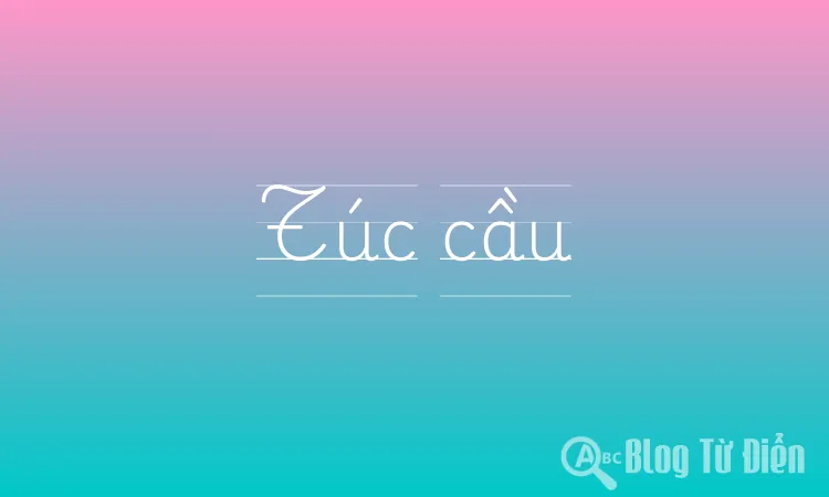 Túc cầu