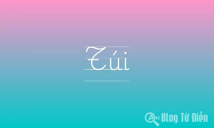Túi