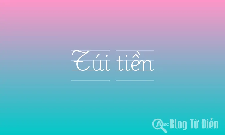 Túi tiền