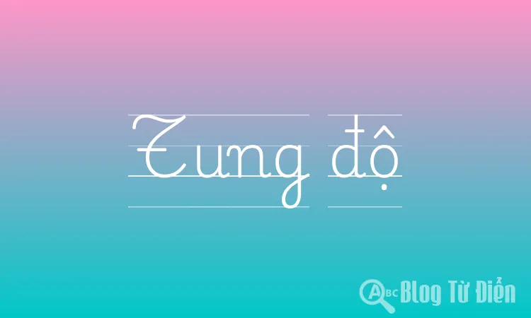 Tung độ