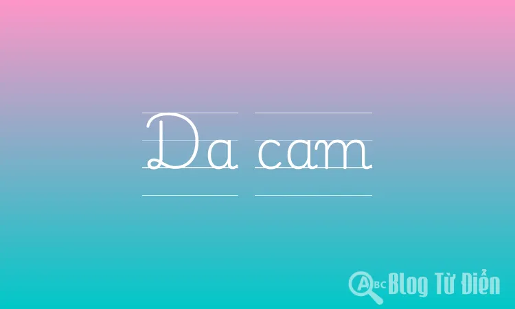 Da cam