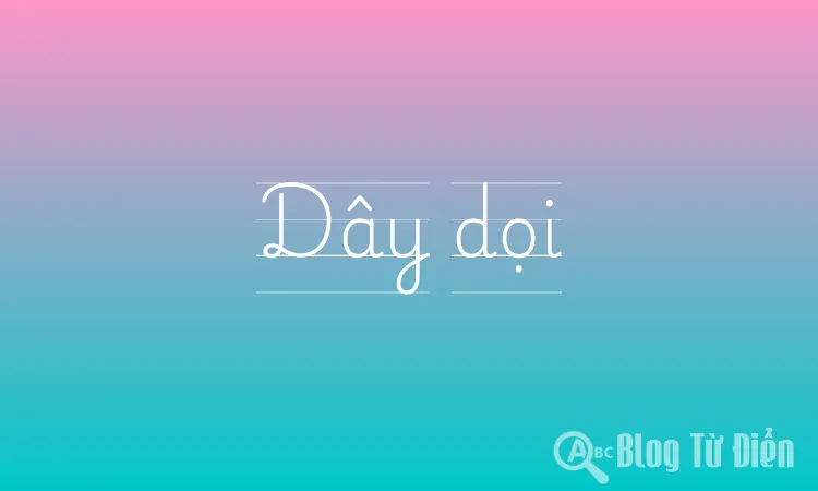 Dây dọi