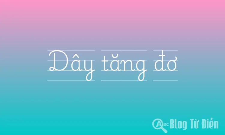 Dây tăng đơ