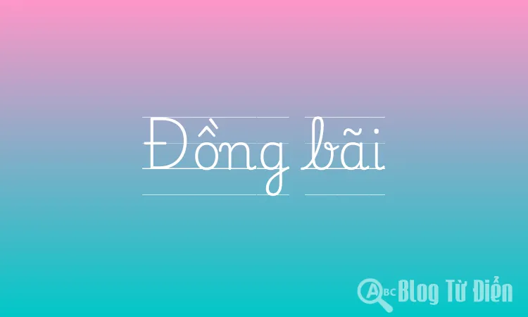 Đồng bãi