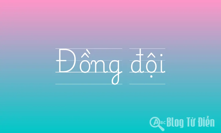 Đồng đội