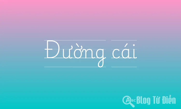 Đường cái