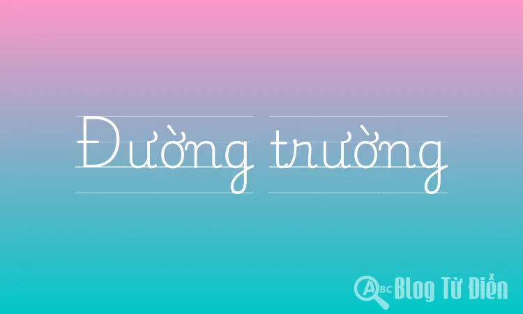 Đường trường